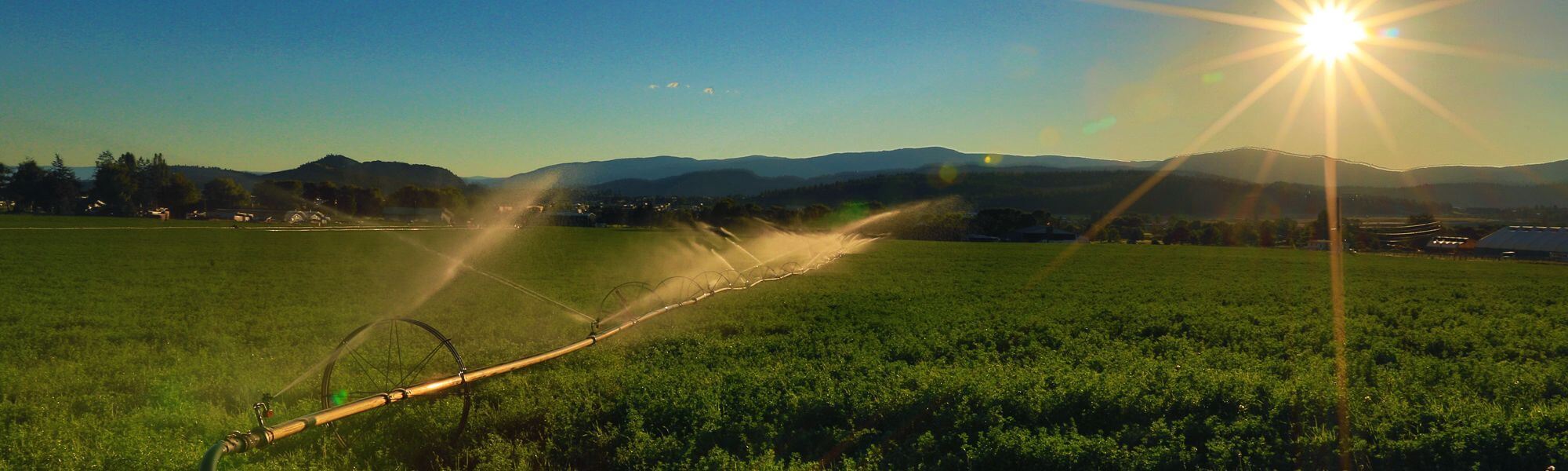 Ellison Real Estate Ellison Homes For Sale, BC