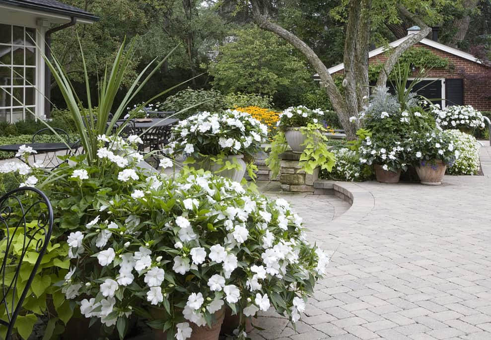 Landscape Contractors Architects & Landscaping Designers