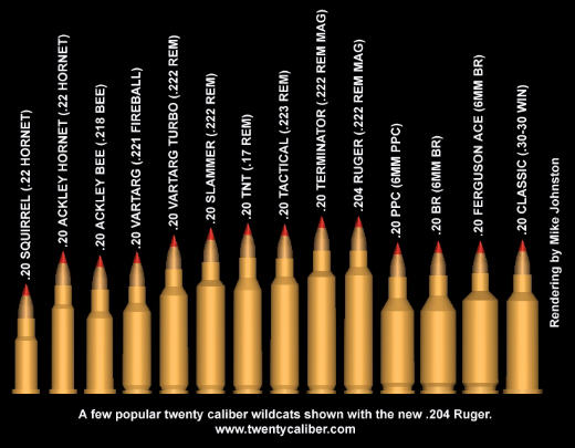 20cals Guns, Loads, Optics and Gear for Varmint Hunting The