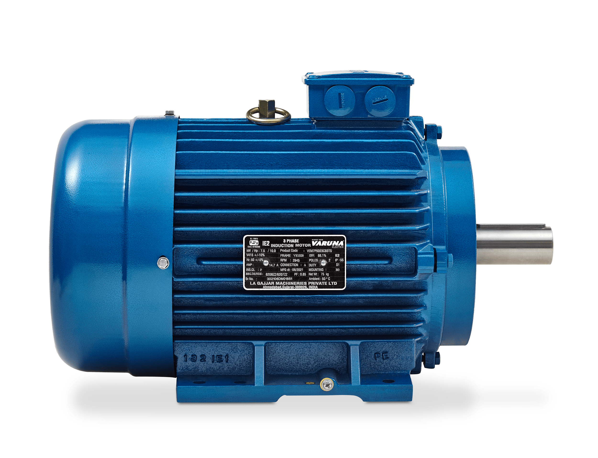 Product Detail Varuna Pumps