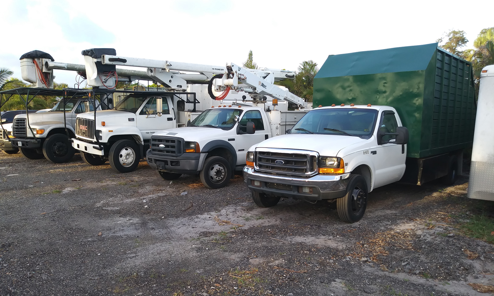 Vasquez Tree & Landscaping