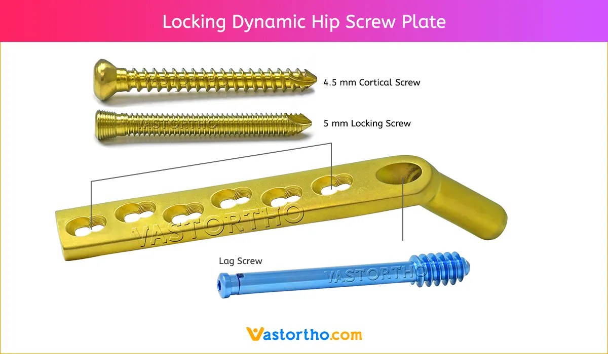 Locking Dynamic Hip Screw Plate specification & uses • Vast Ortho