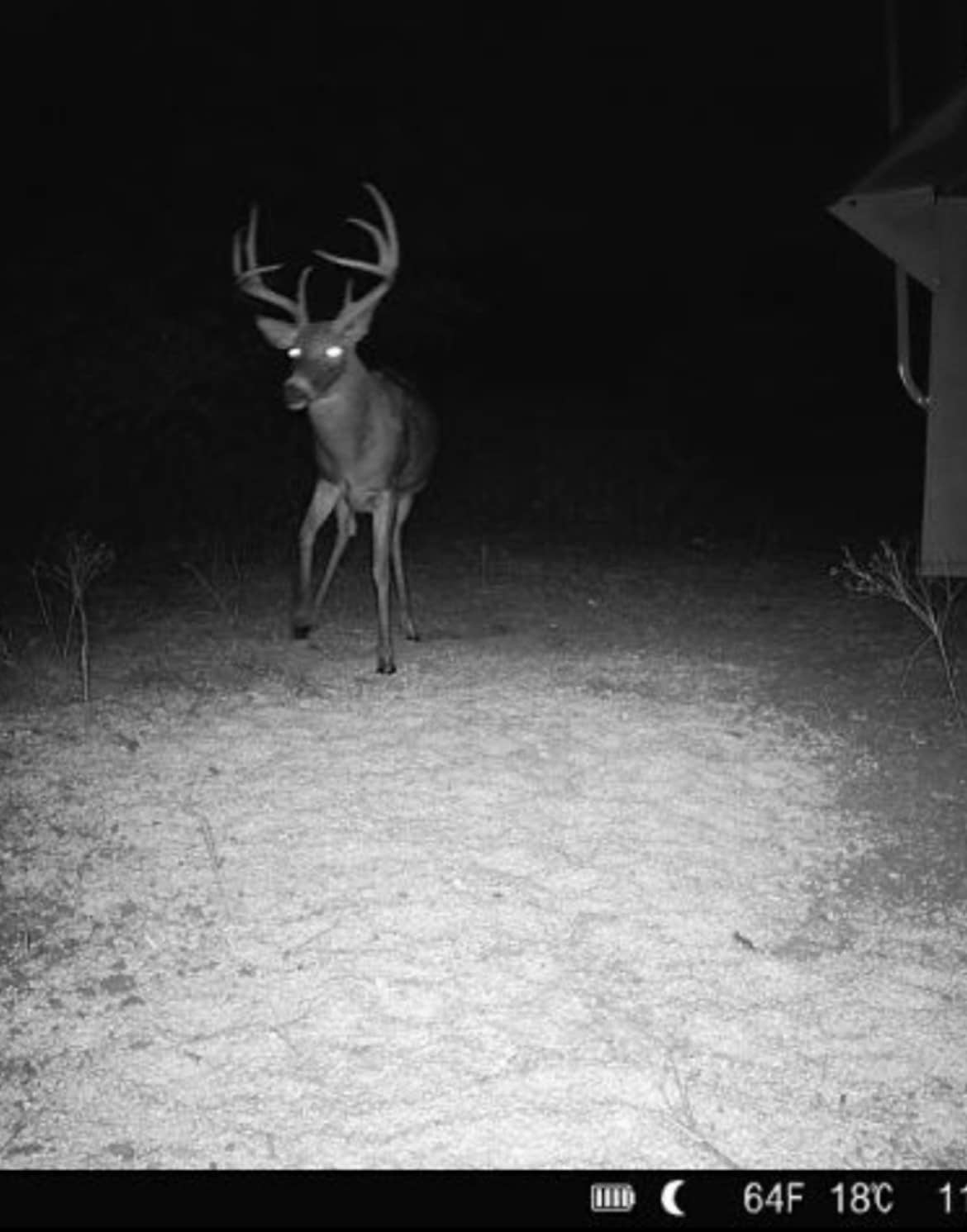 Woodson County, Kansas Whitetail Mecca Vaughn Roth Land Brokers