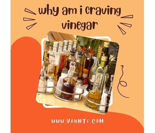 Why Am I Craving Vinegar? [ All FAQs Explained ] VAUNTE