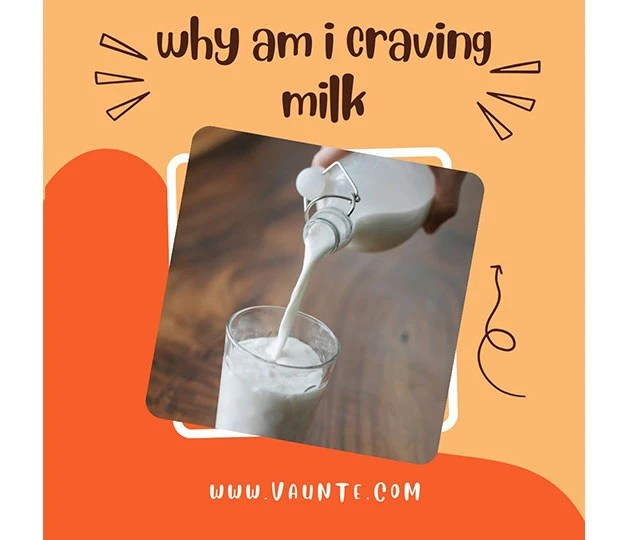 Why Do I Crave Milk Can You Drink Too Much Milk? VAUNTE