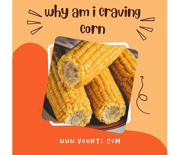 Craving Corn? 3 Reasons To Know VAUNTE