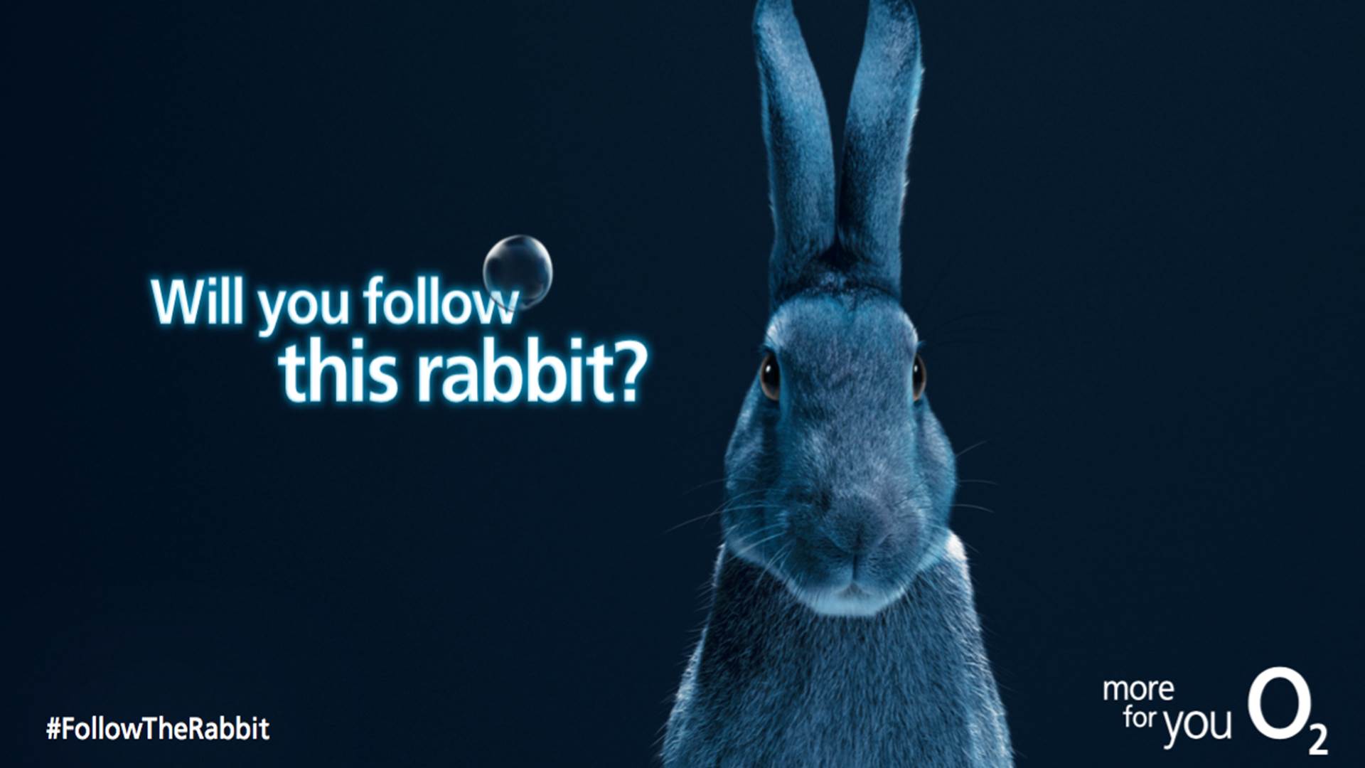 O2 Follow the Rabbit VCCP London