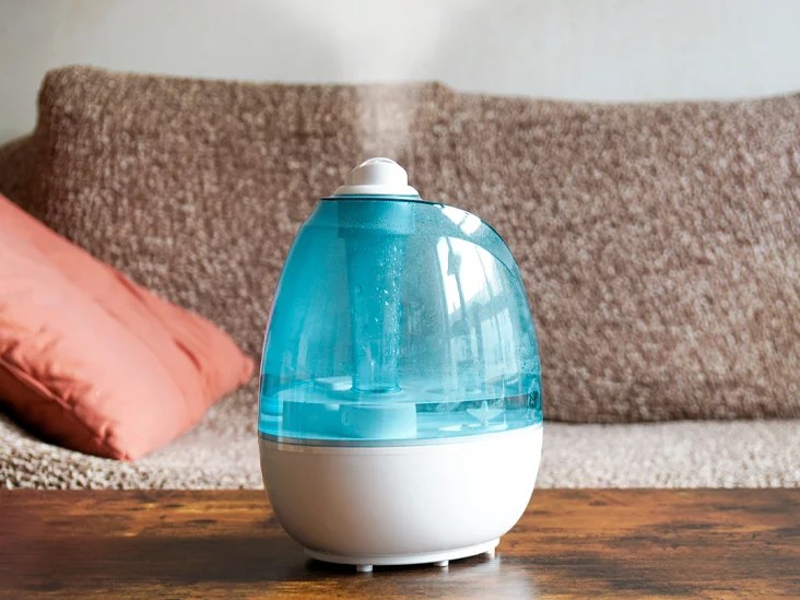 Humidifier Or Air Purifier? What Is Better For Asthma Vdio Magazine 2024