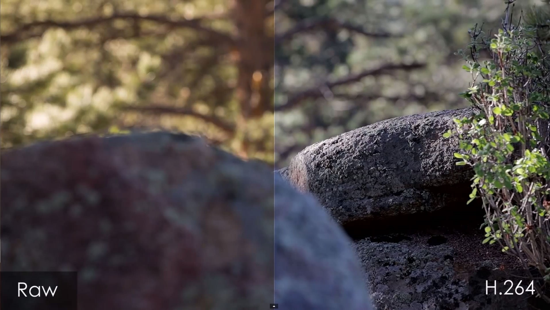 Video Codecs Everything You Need To Know About VdoCipher Blog