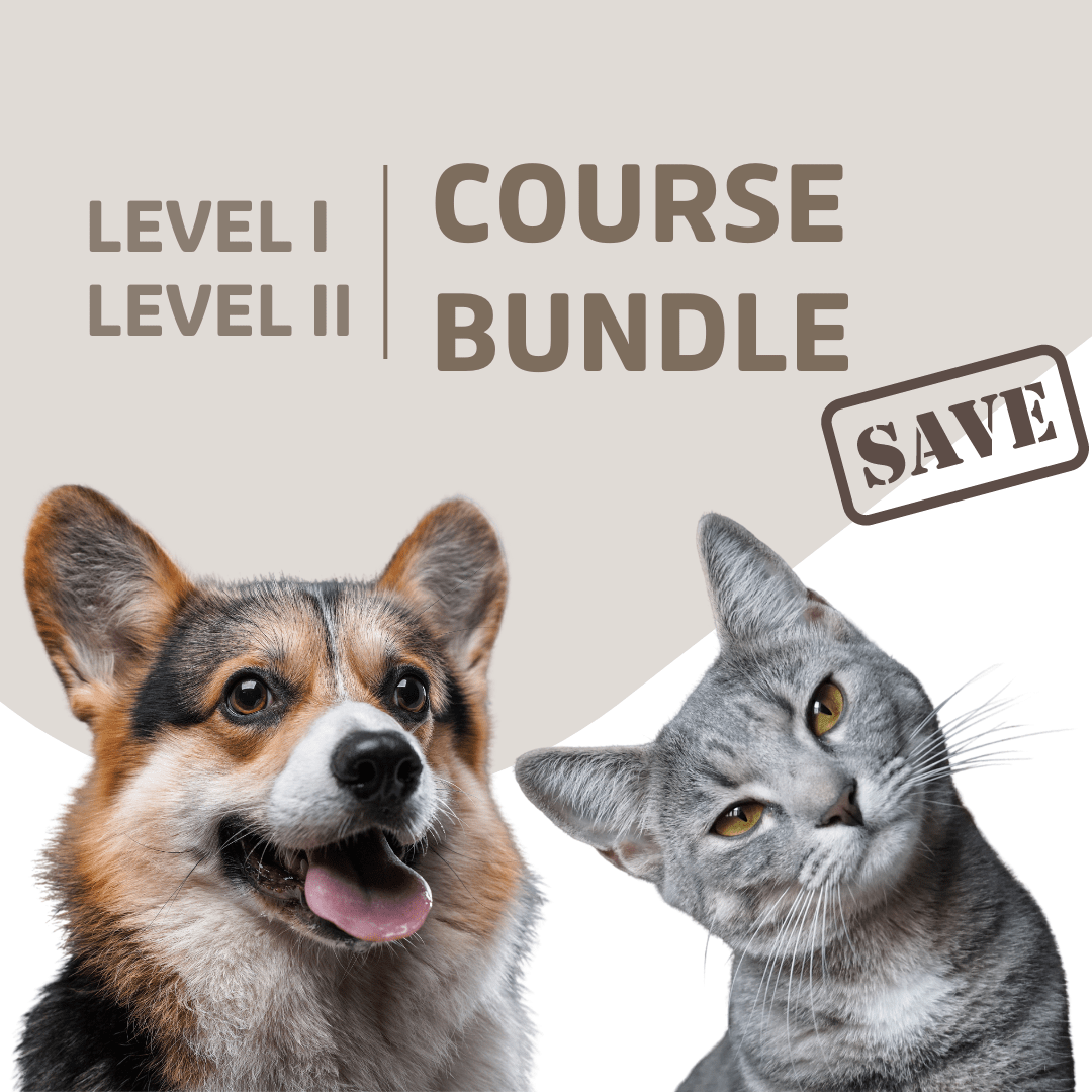 Veterinary Dentistry Specialties — Center of Excellence In Person VDS