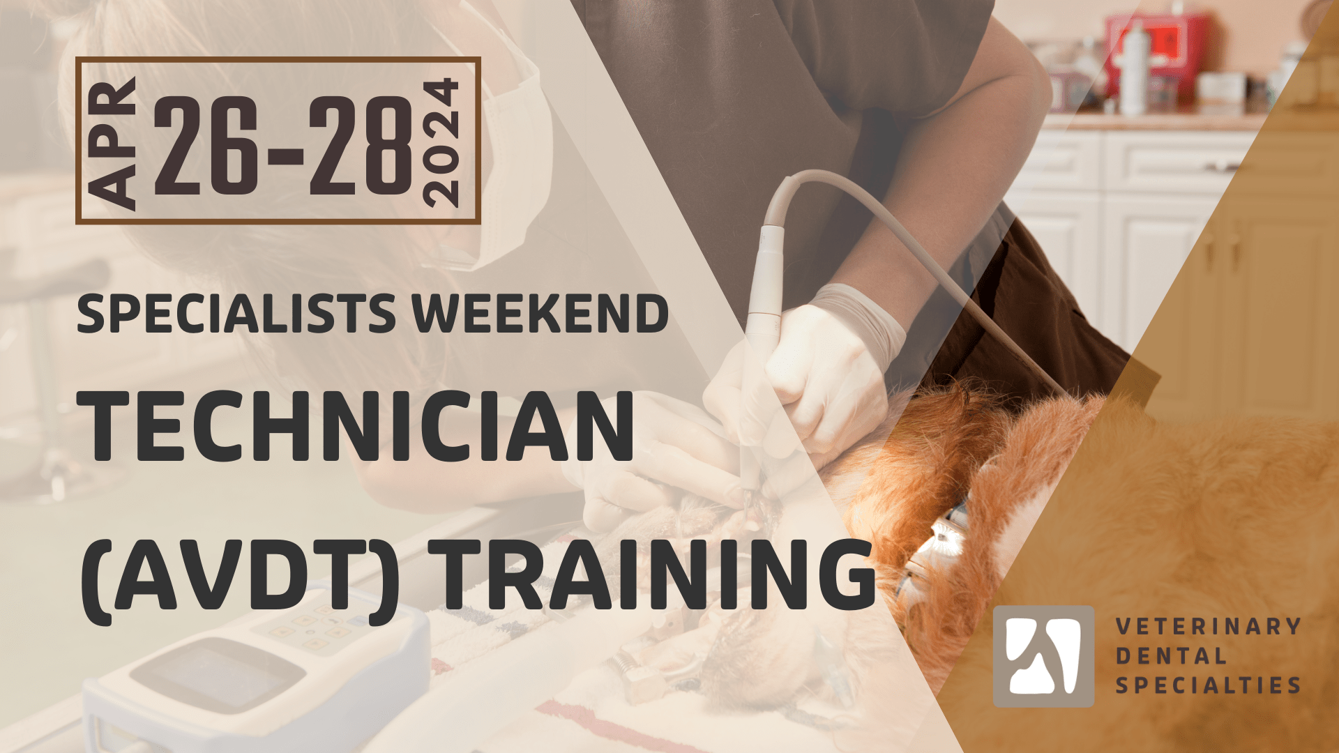 Veterinary Dentistry Specialties — Center of Excellence In Person VDS