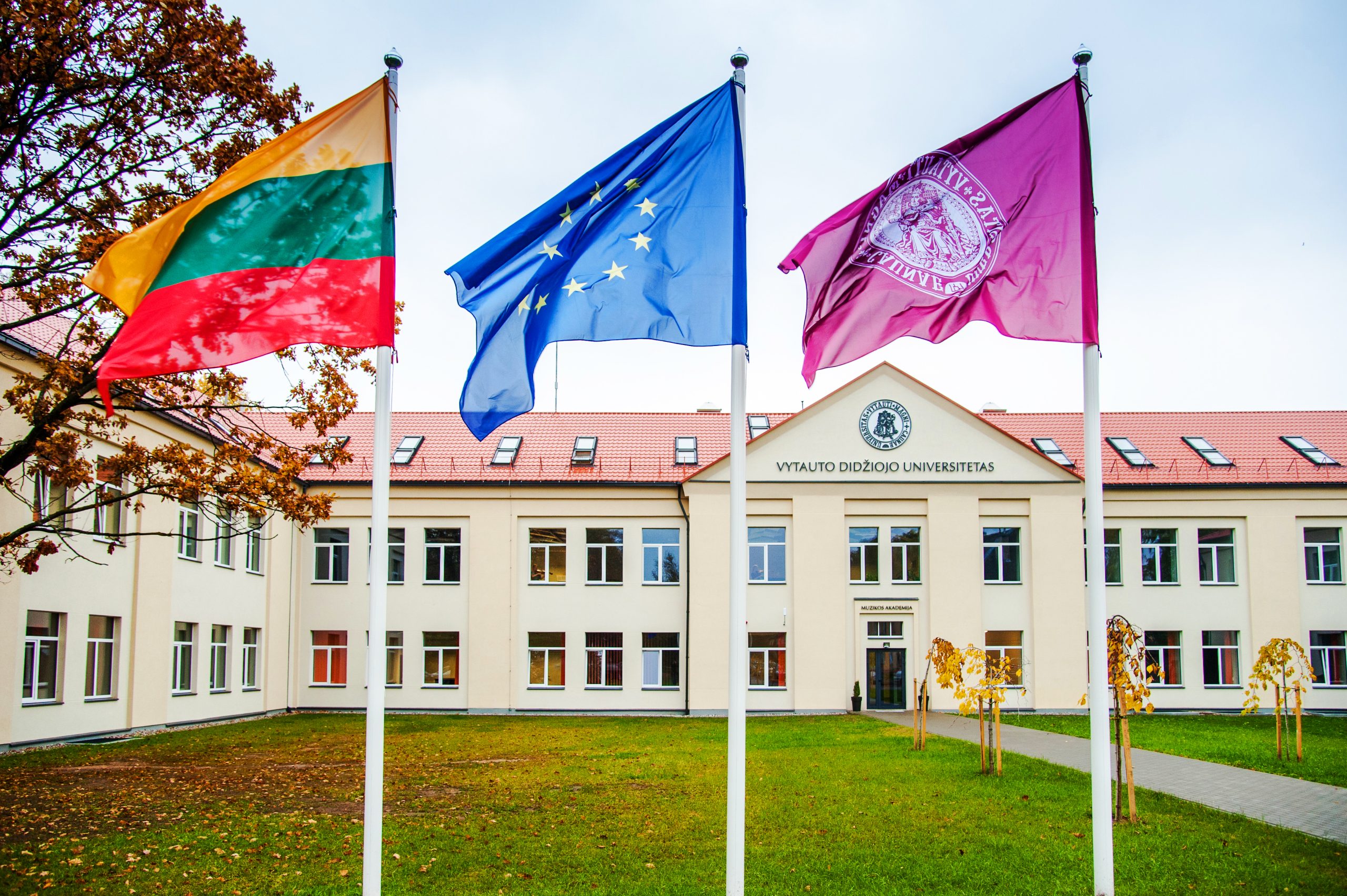 Students share their reasons to join them at the VMU Music Academy VDU