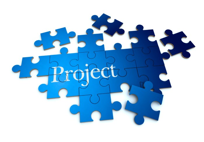 What is a Project in Project Management? Definition and Types