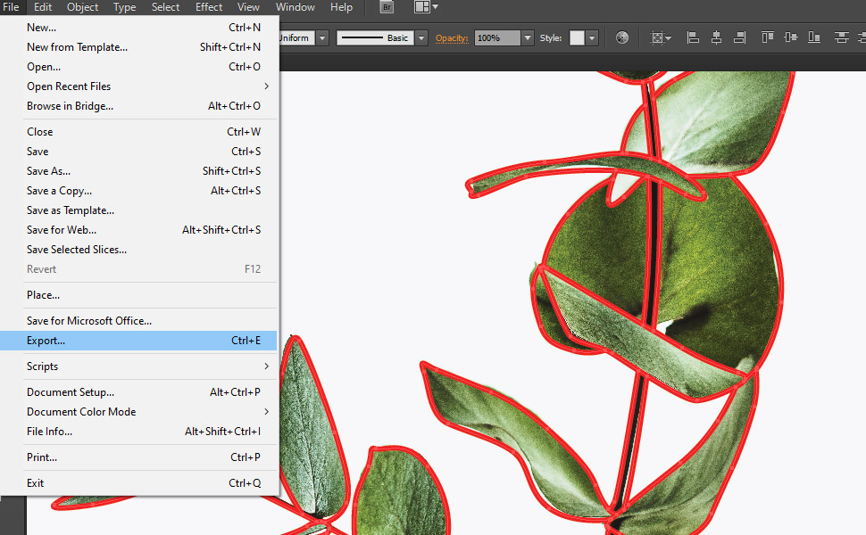 How to Turn a Photo into a Vector Line Drawing