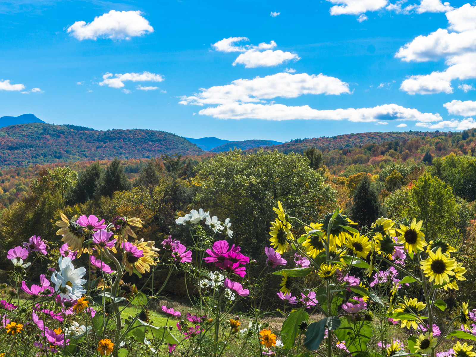 Vermont Economic Development Authority Elects new Board Members