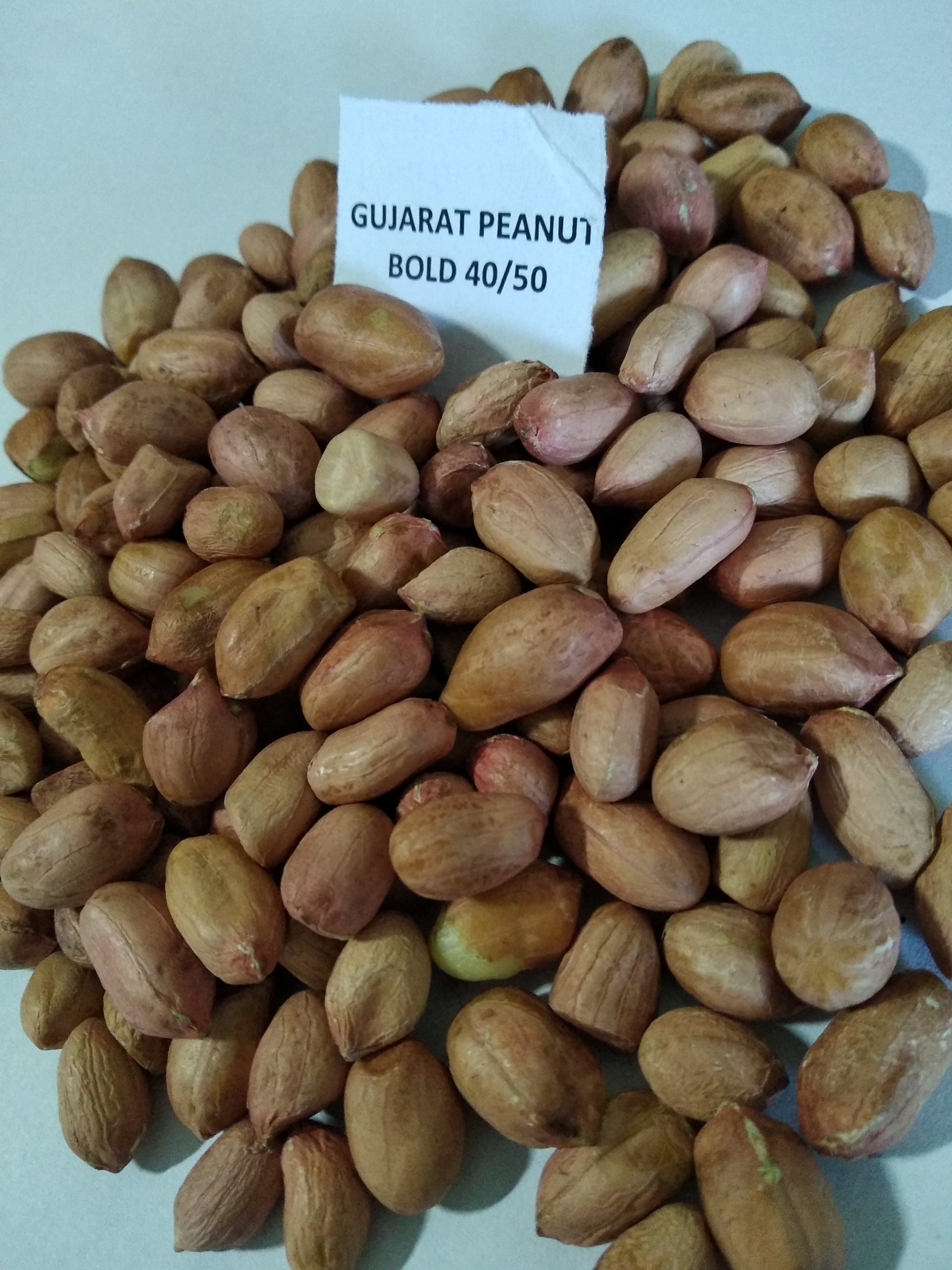 Peanut/groundnut Veer International