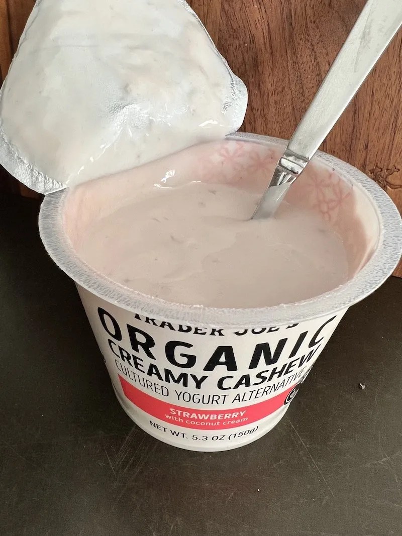 Trader Joe's Cashew Yogurt Vegan Cheese Tasting