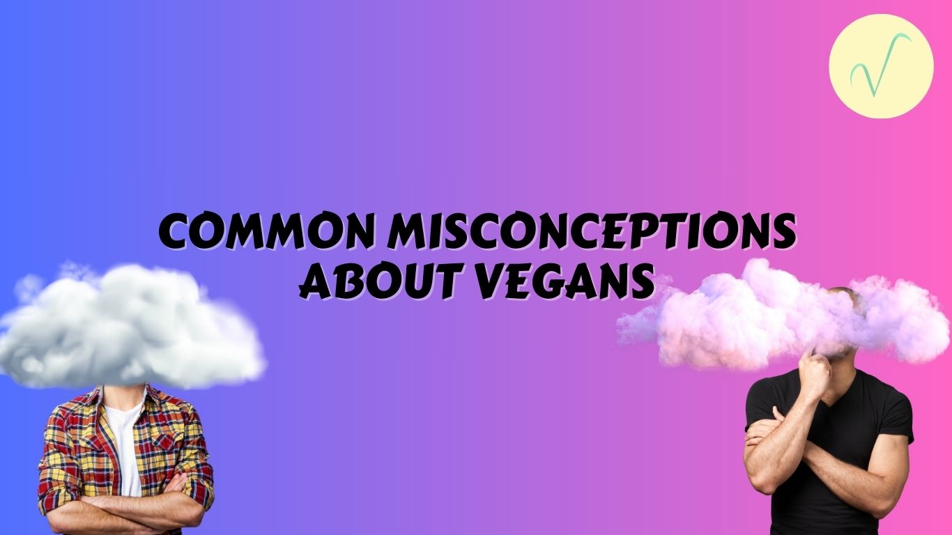 Common Vegan Misconceptions Misconceptions of Veganism Veganising It
