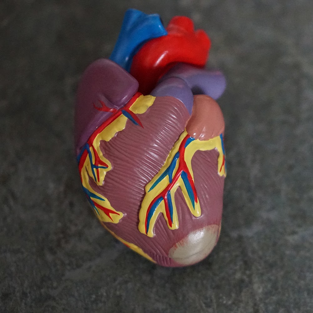 Can Vegans Have High Cholesterol Vegan Life Nutrition