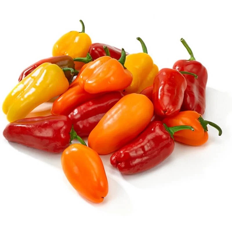 Mini Sweet Pepper Vega Produce Eat Exotic, Be Healthy Order Now!