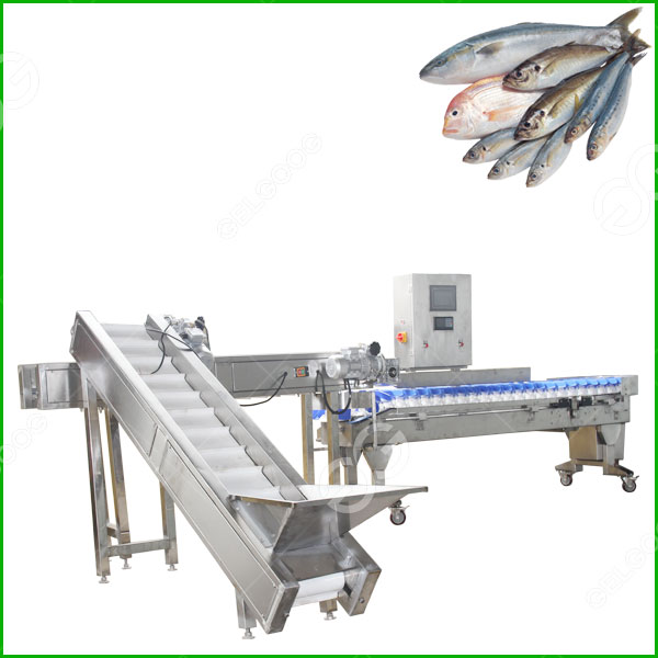 Auto Fish Grading Machine For Seafood Weight Sorting