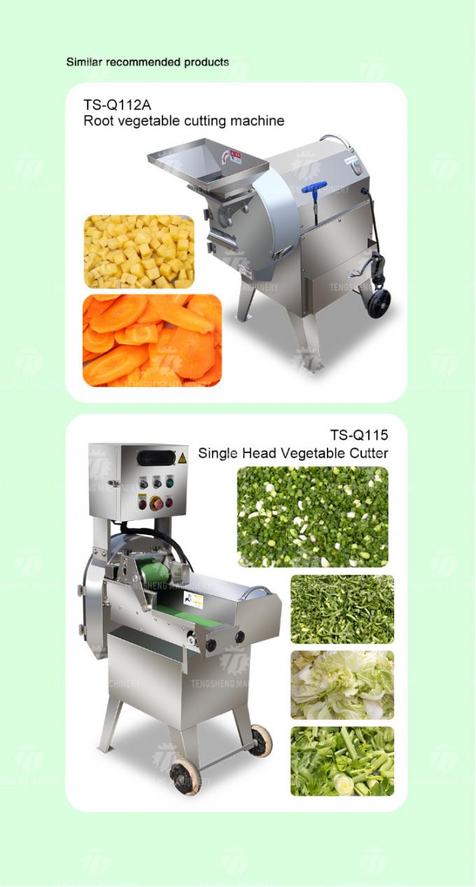 1000KG/H 80KG Multifunctional fruit slicer cutting lemon and cucumber