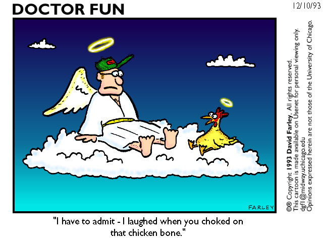 Witze alles für Vegetarier + Pro Vegan