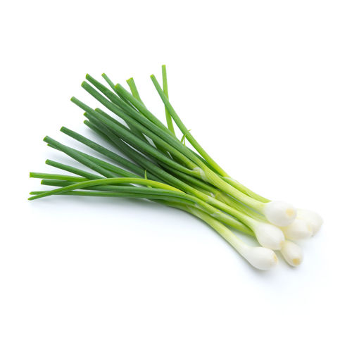 Buy Fresh 1kg Spring Onion Online Vegetable Delivery Cape Town