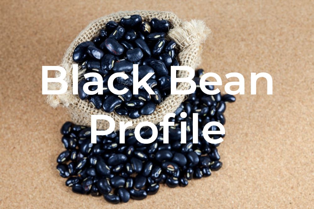 Are Black Beans GlutenFree? [Answered!] 2023