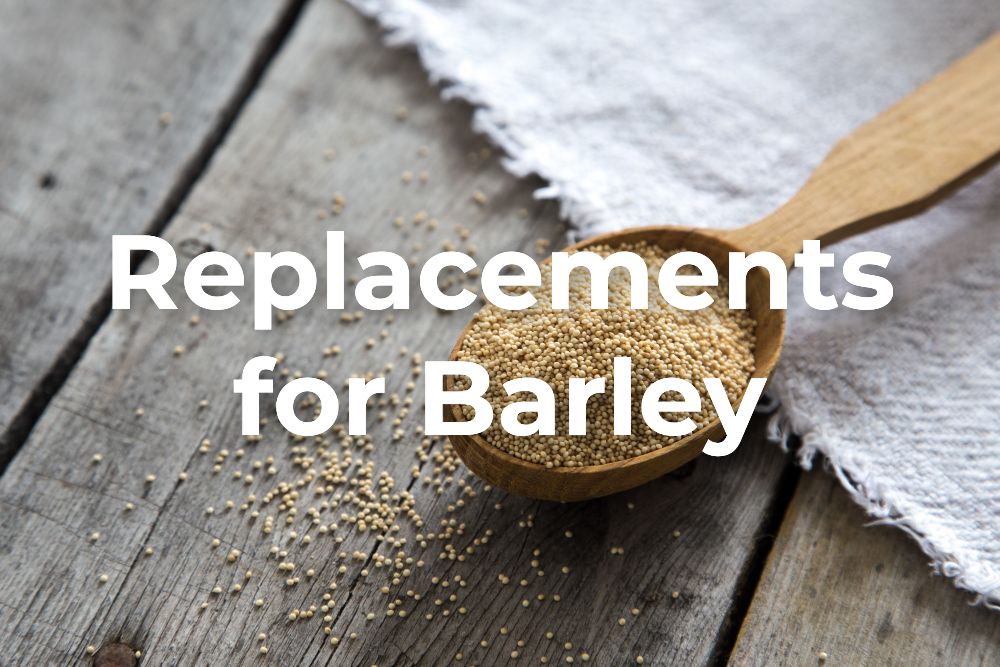 Is Barley GlutenFree? [Answered!] 2023