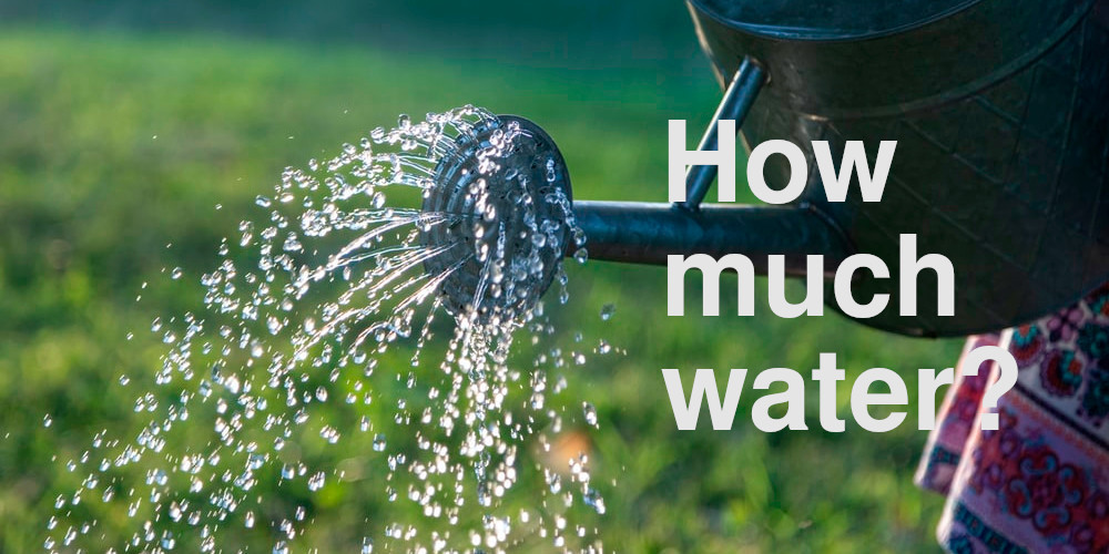 How much water do vegetables need?