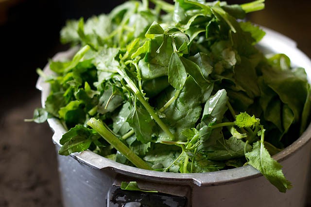 sarson-ka-saag3 adding greens to pressure cooker.