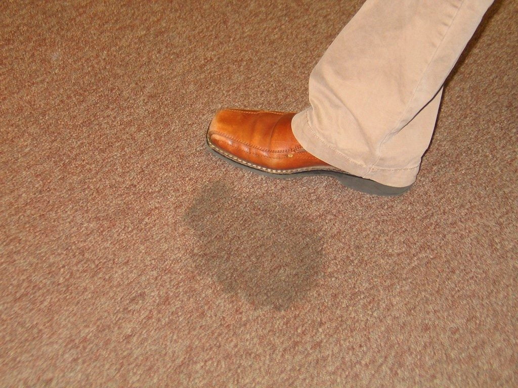 The 8 Worst Things to Spill on Your Carpet Veg Society Of GA
