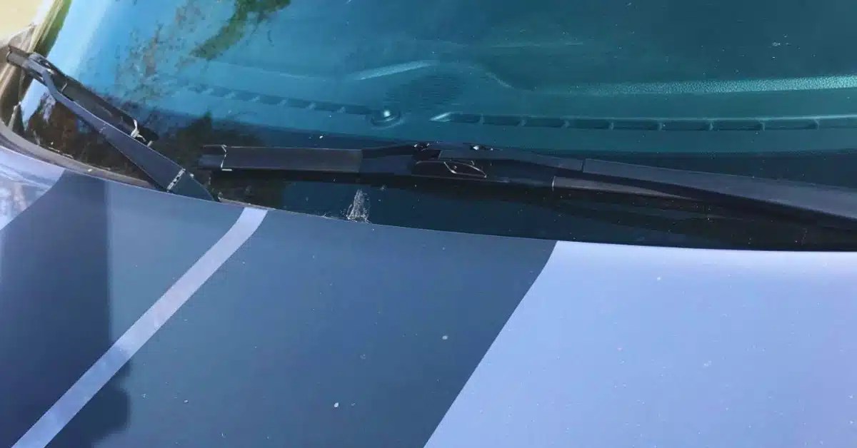 Trico Force vs. Bosch Icon Which Wiper Blades Reign Supreme