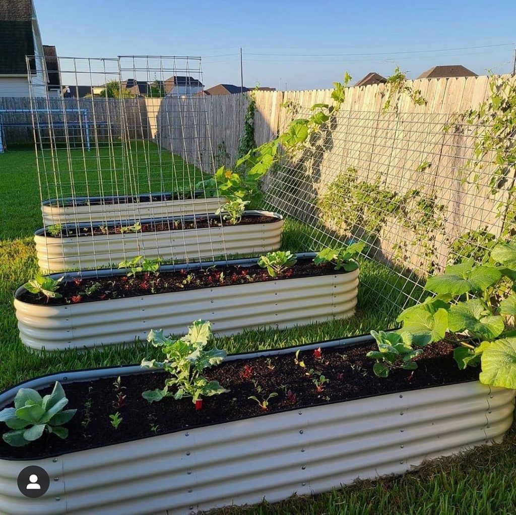 What To Put on The Bottom of a Raised Garden Bed? Vel illum