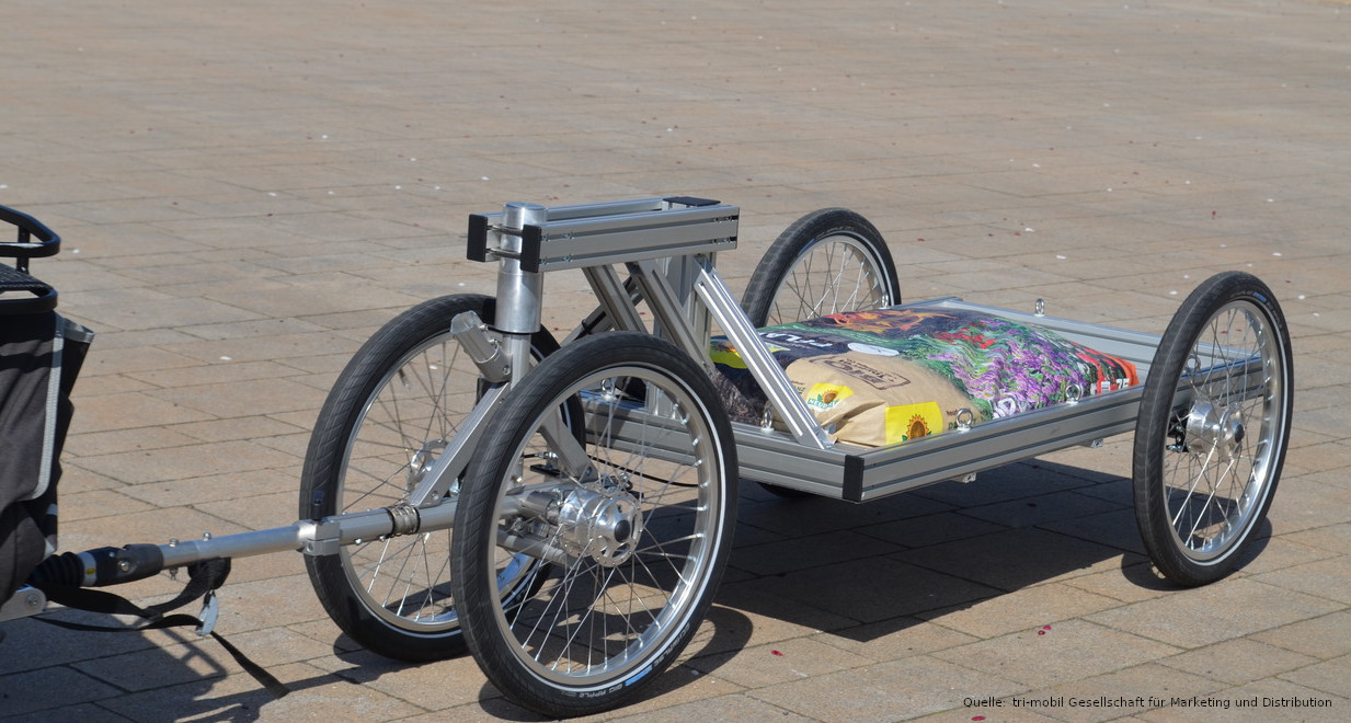 Robert XL2 Neuer zweiachsiger FahrradLastenanhänger