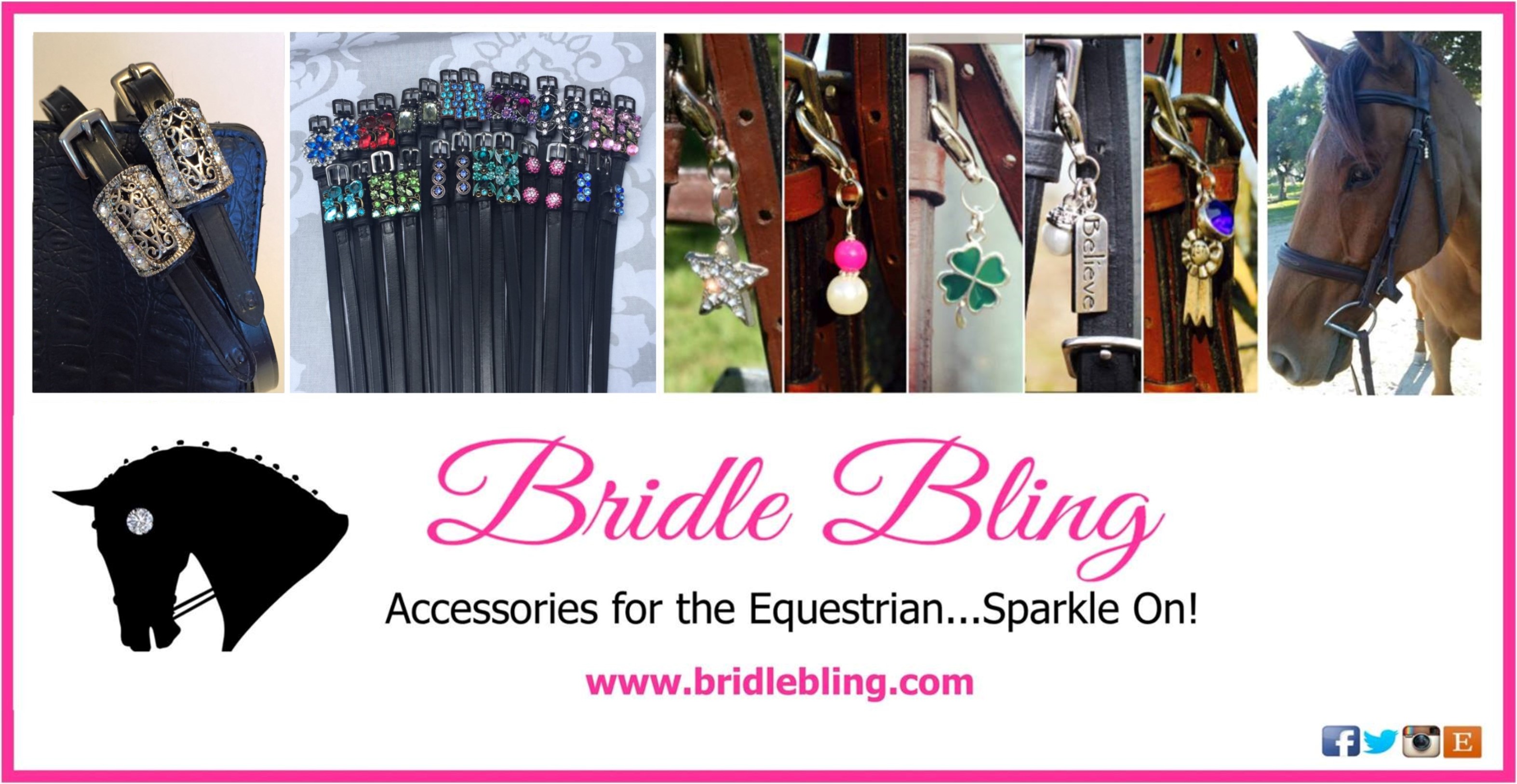 How to Import a Horse from Canada to the US Velvet Rider