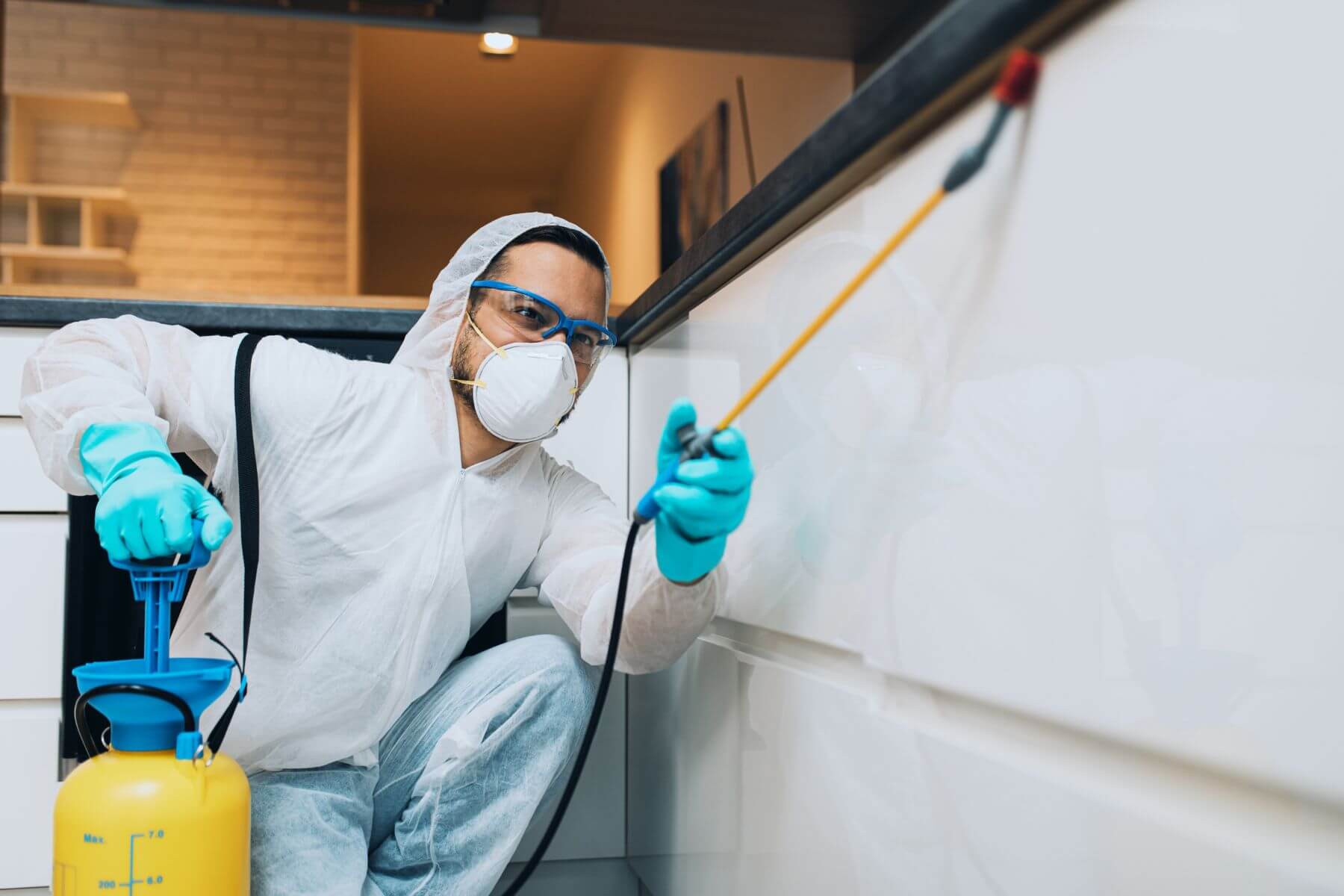 Pest Control Services in Gippsland • Venatic Building and Pest