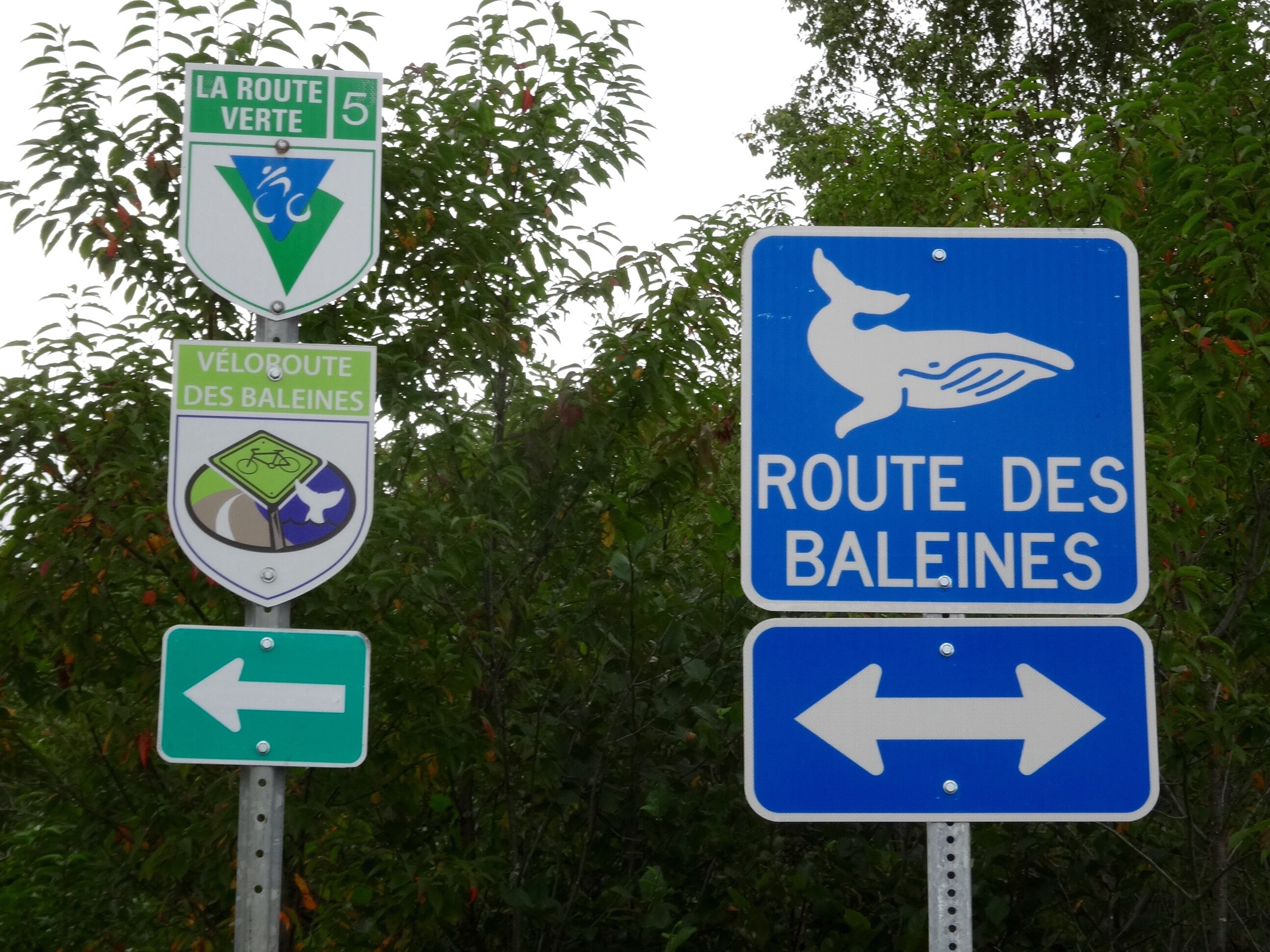 Jour 15 Sheldrake / HavreSaintPierre (111 km) Blog de Céline et Pierre