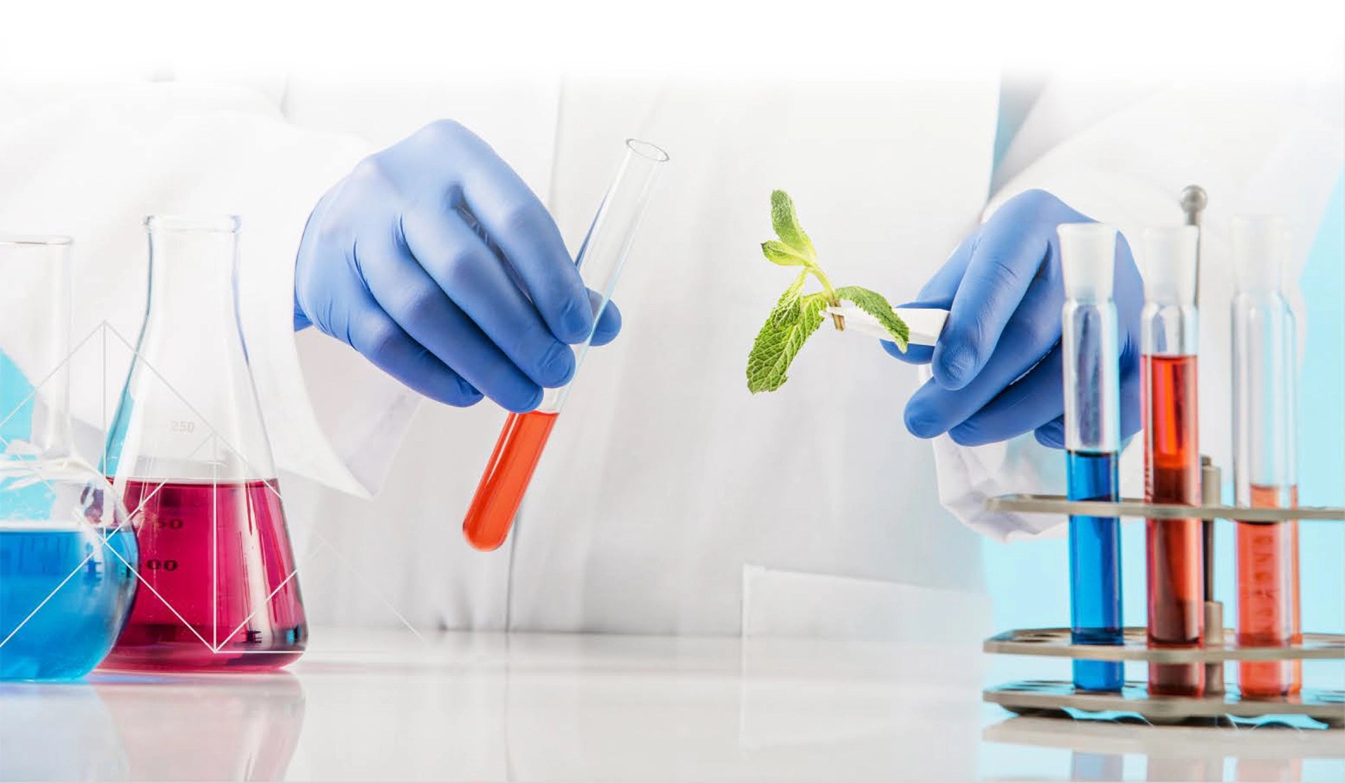 About Us Verantes Colours INC.