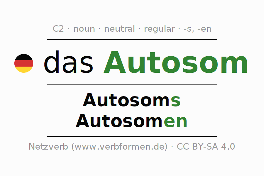 Declension Autosom (autosome, …) All forms, plural, translation