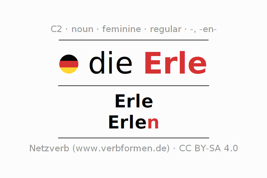 Declension German "Erle" - All cases of the noun, plural, article
