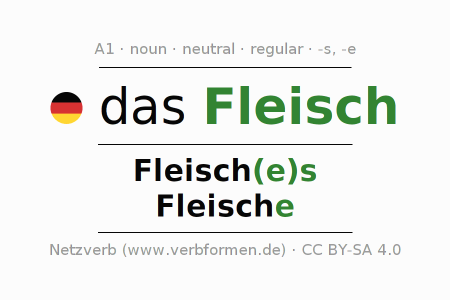 Declension German "Fleisch" All cases of the noun, plural, article