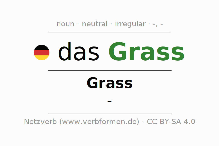 Declension German "Grass" All cases of the noun, plural, article
