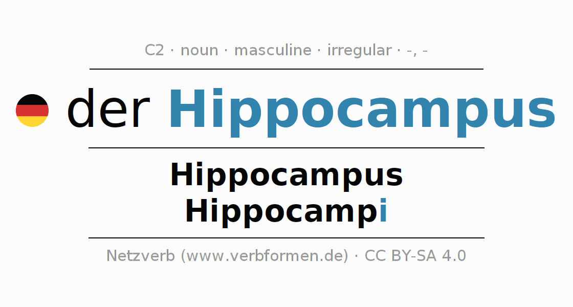 Declension German "Hippocampus" All cases of the noun, plural