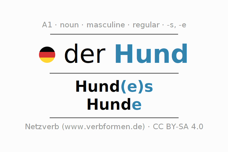 Declension German "Hund" All cases of the noun, plural, article Netzverb Dictionary