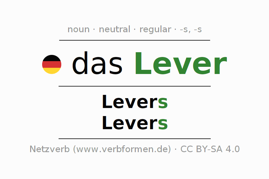 Declension German "Lever" All cases of the noun, plural, article Netzverb Dictionary