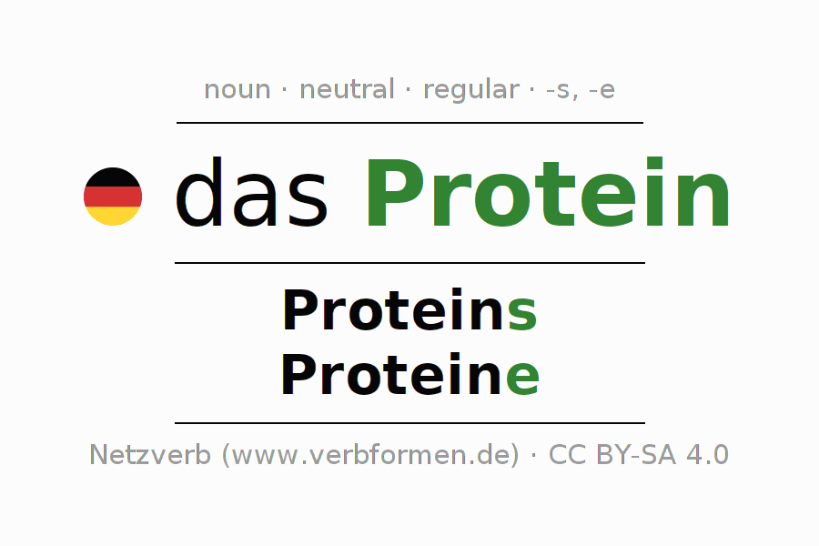 Declension German "Protein" All cases of the noun, plural, article