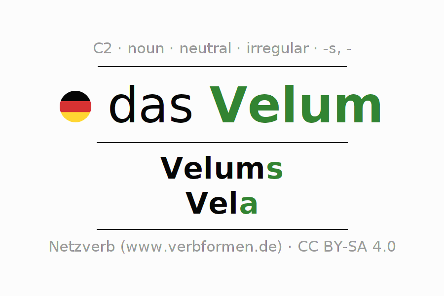 Declension German "Velum" All cases of the noun, plural, article Netzverb Dictionary