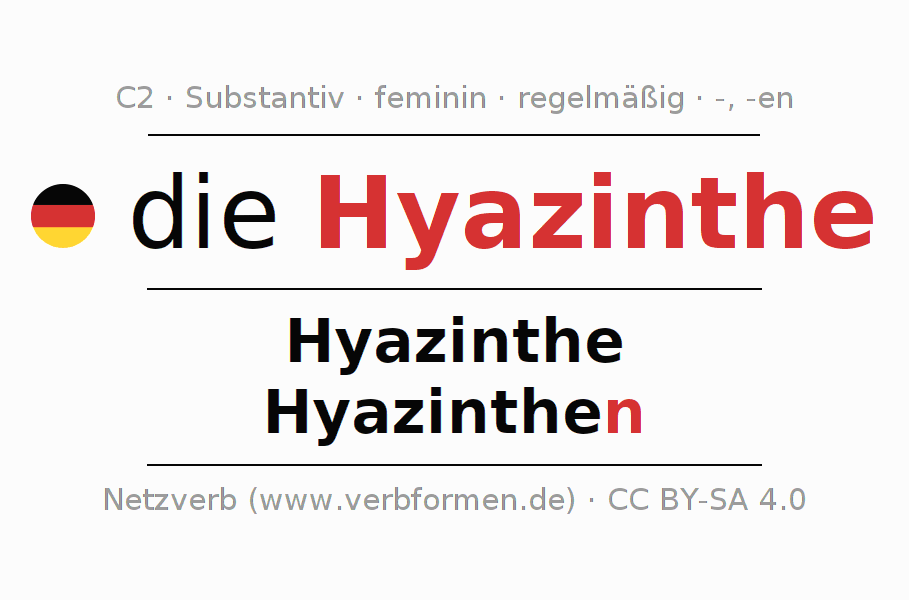 Deklination "Hyazinthe" Alle Fälle des Substantivs, Plural und